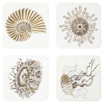 Bases para Copos Medusa (Conjunto de 4)