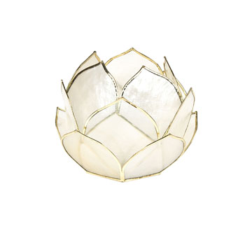 external image 2625048052_1_1_3.jpg?timestamp=1362656793416