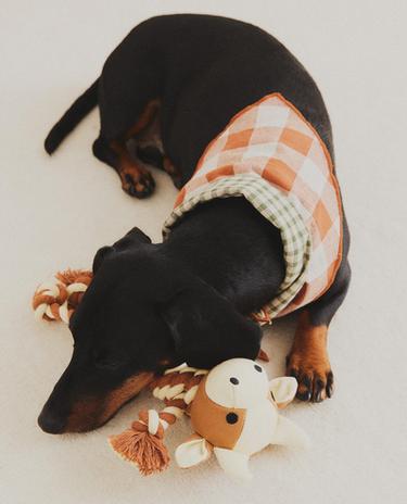 BANDANA A QUADRI E GIOCATTOLO PER ANIMALI