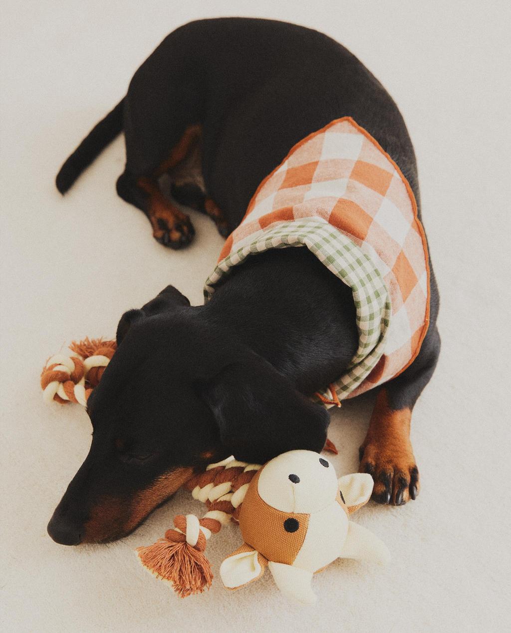 CHECK BANDANA AND PET TOY