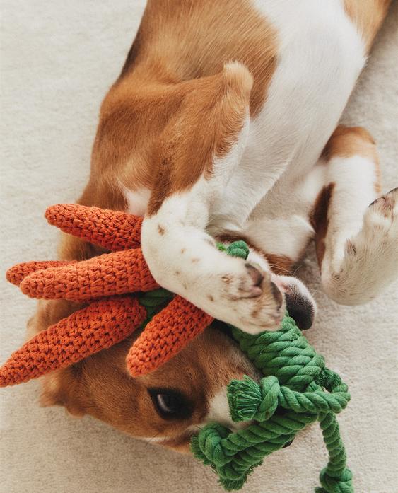 CARROT BUNCH PET TOY
