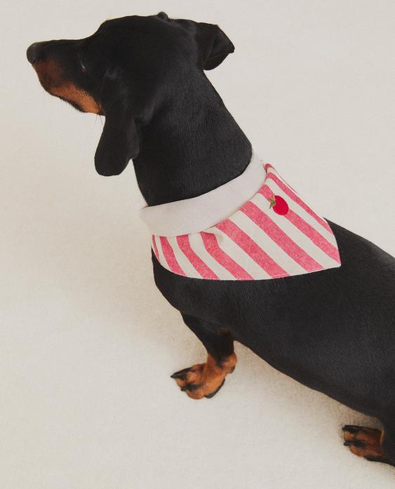 STRIPED TOMATO PET BANDANA