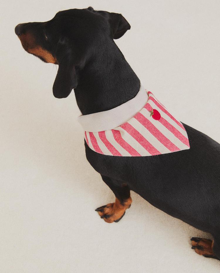 STRIPED TOMATO PET BANDANA