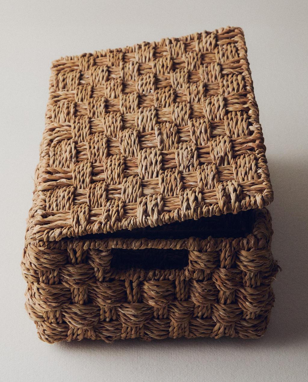 SASKI ERREKTANGULARRA, SEAGRASS, ESTALKIDUNA