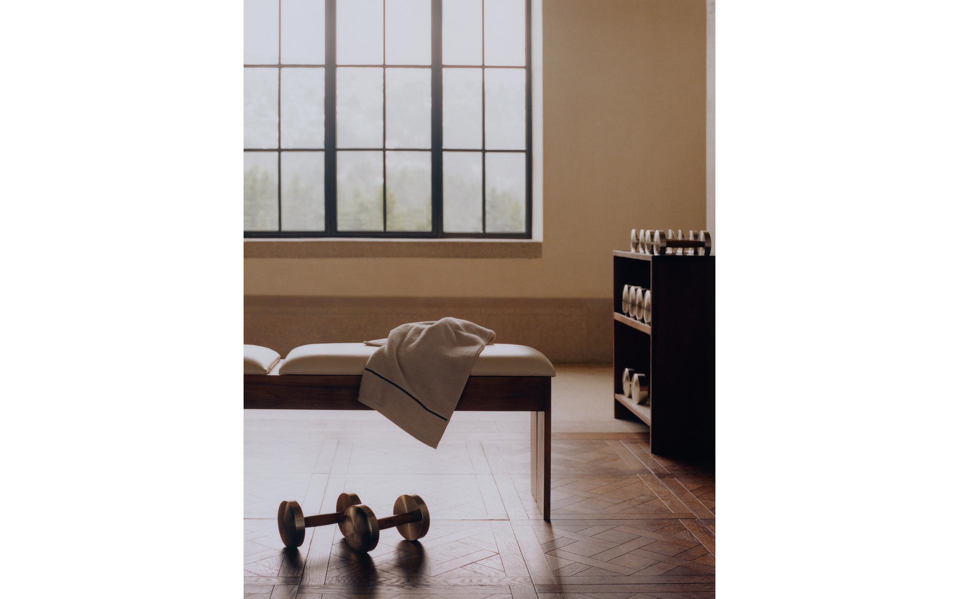 Dumbbells, towel and gym storage unit