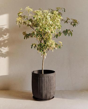 METAL FLOWERPOT