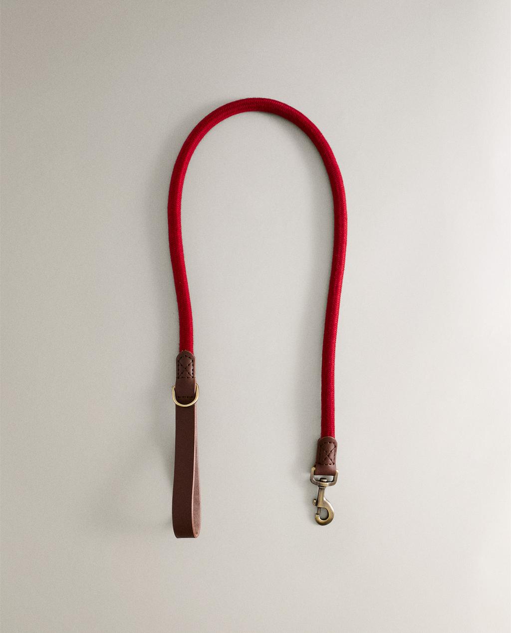 LAISSE CORDE CUIR CHIENS