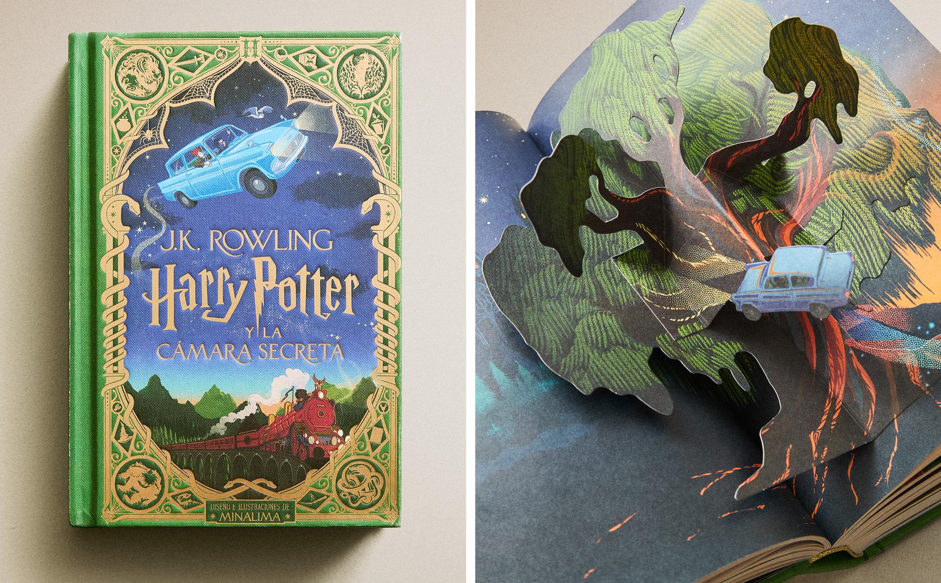 HARRY POTTER ETA GANBARA SEKRETUA LIBURUA (GAZTELANIA)