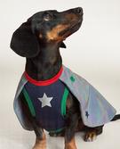SPACE-INSPIRED REFLECTIVE PET COSTUME