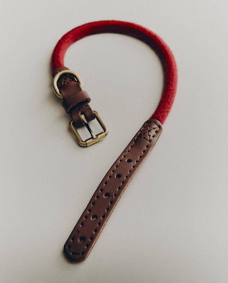 LEATHER AND ROPE DOG COLLAR