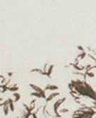 بني