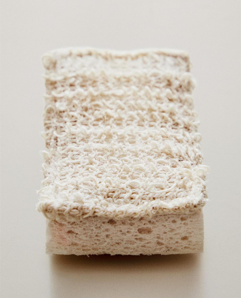 SPONGE SCOURER (PACK OF 2)