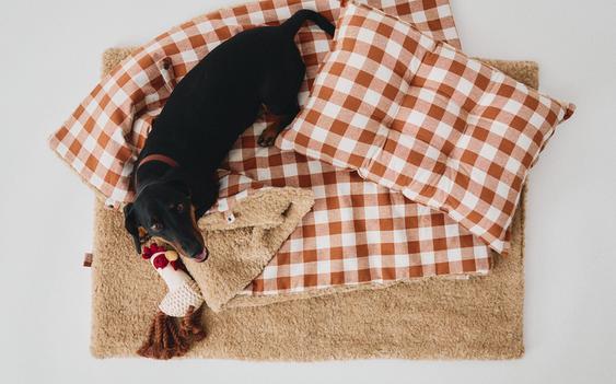 TOPPER, COPERTA E GIOCATTOLO PER ANIMALI