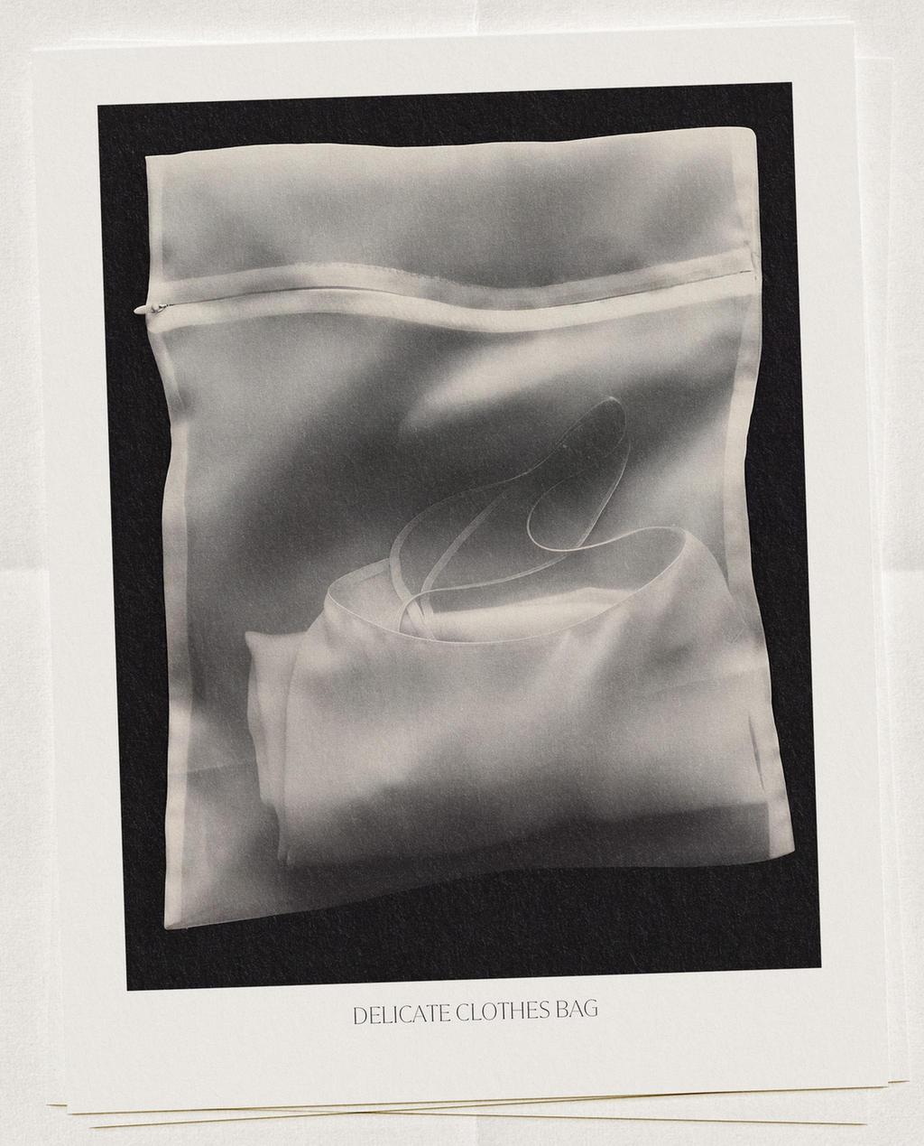 DELICATE LAUNDRY BAG (PACK OF 2)