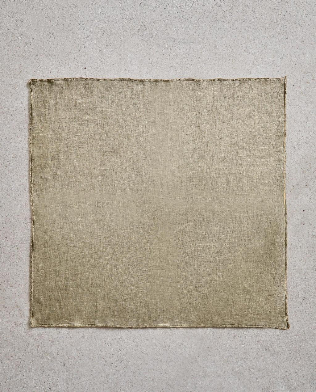 NAPKIN 01