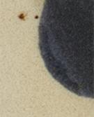 AMARILLO