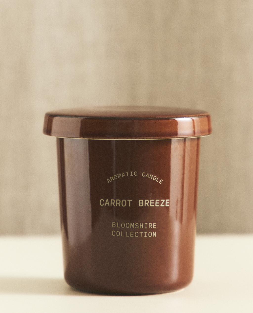 (170 G) BOUGIE PARFUMÉE CARROT BREEZE