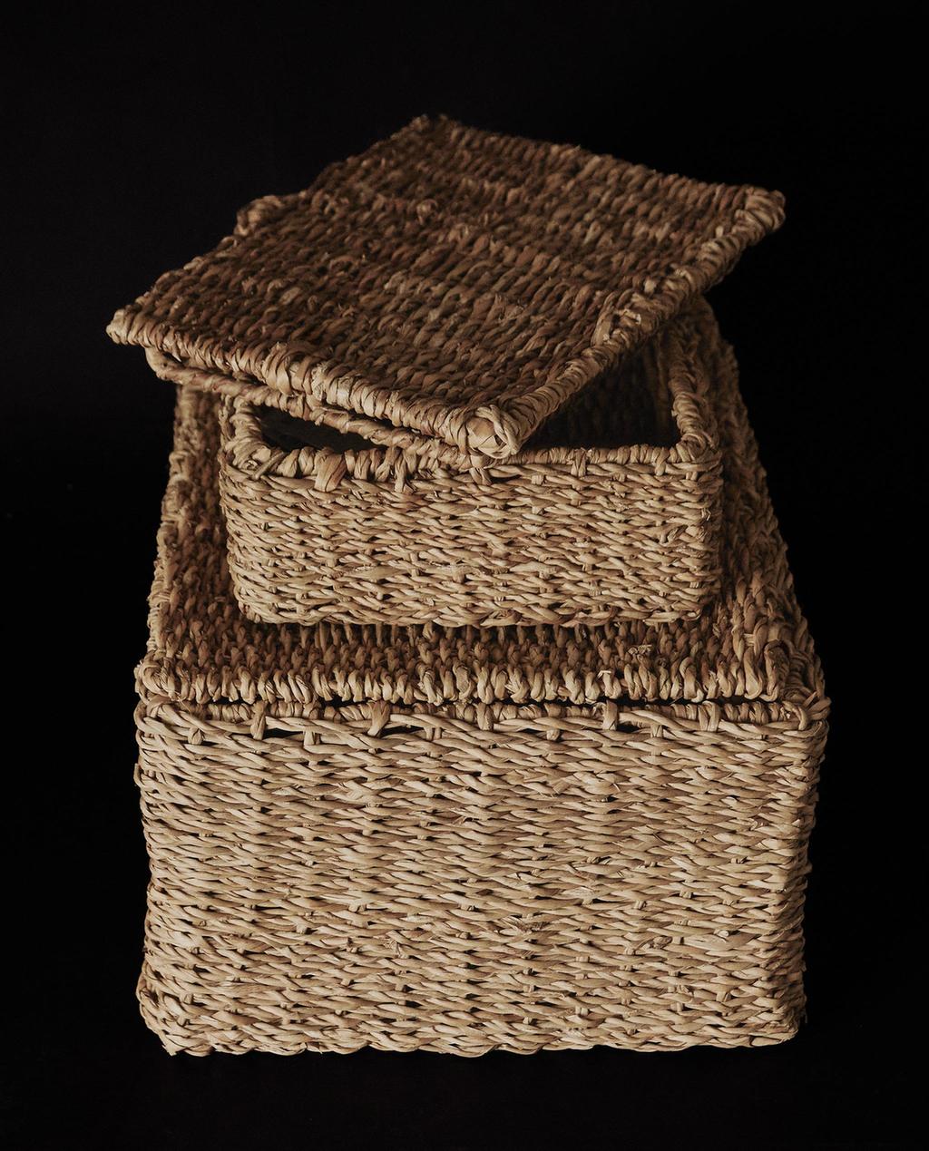 SEAGRASS SASKIA, ESTALKIAREKIN