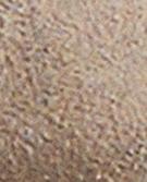 GRIS TAUPE