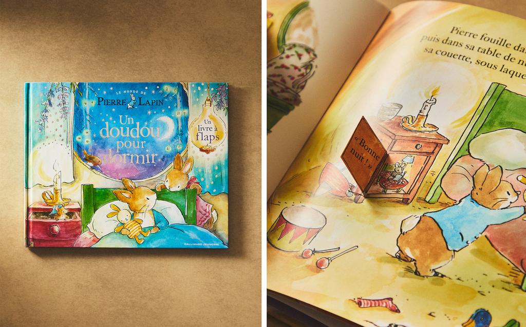 LIBRO PER BAMBINI UN DOUDOU POUR DORMIR (FRANCESE)