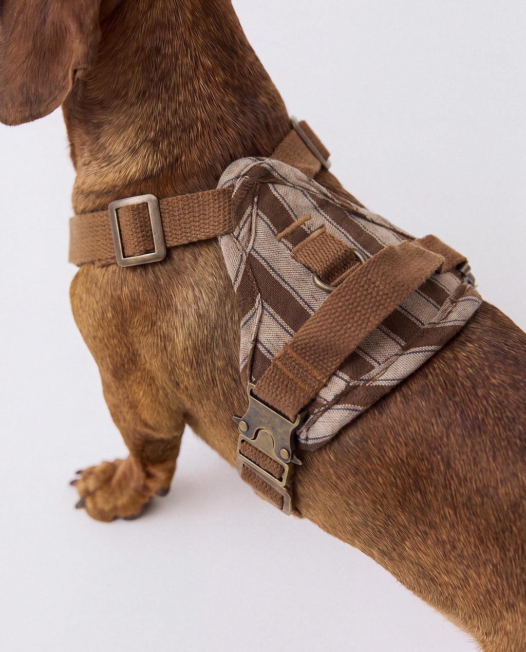 STRIPED PET HARNESS