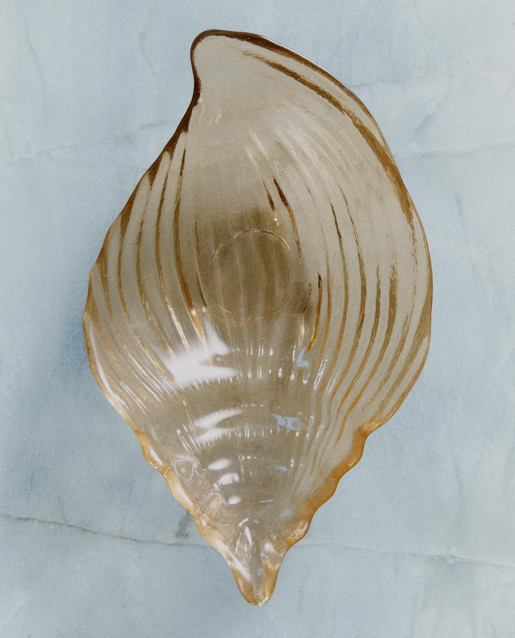 PIRING SAJI KACA KERANG