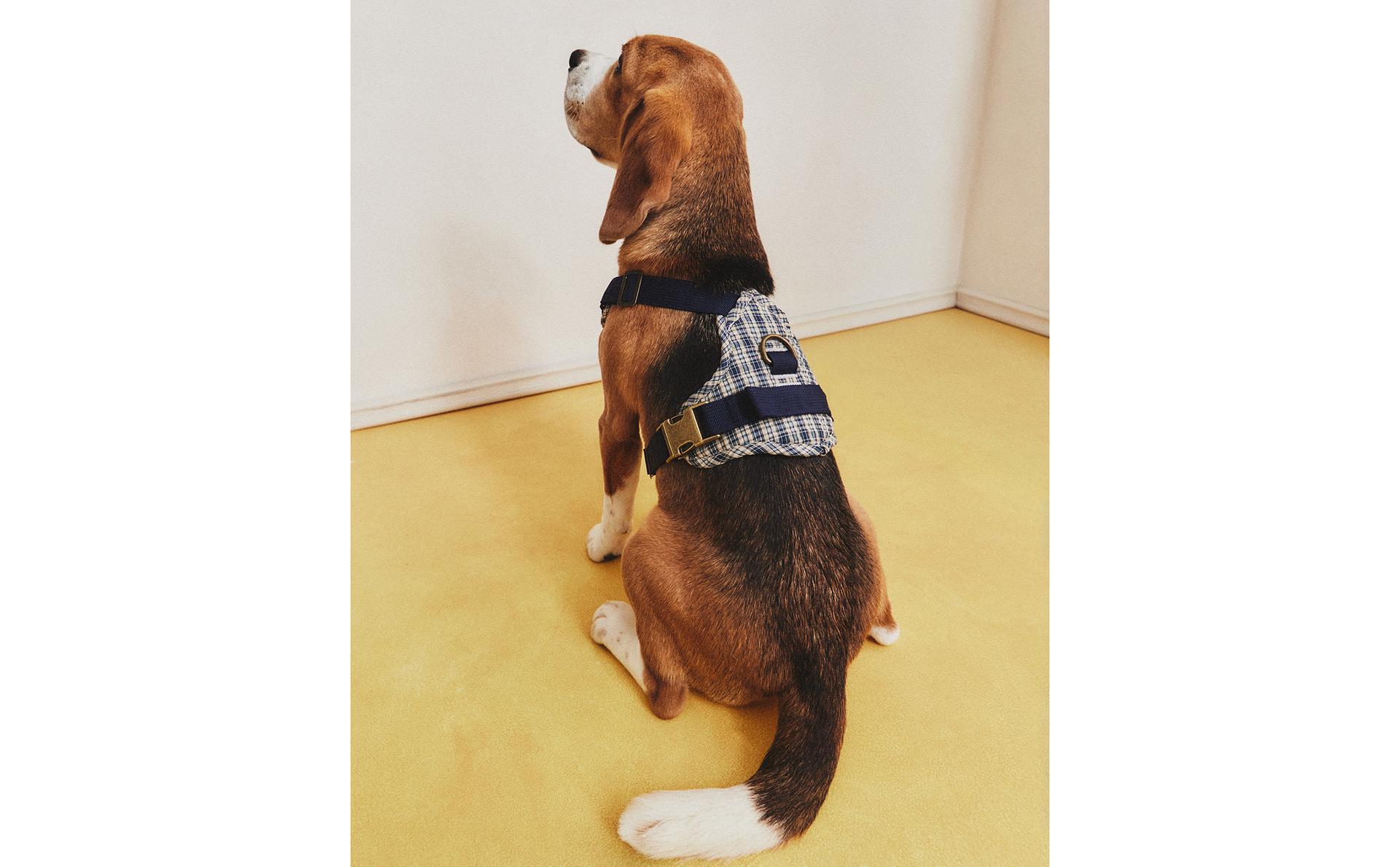 GINGHAM PET HARNESS