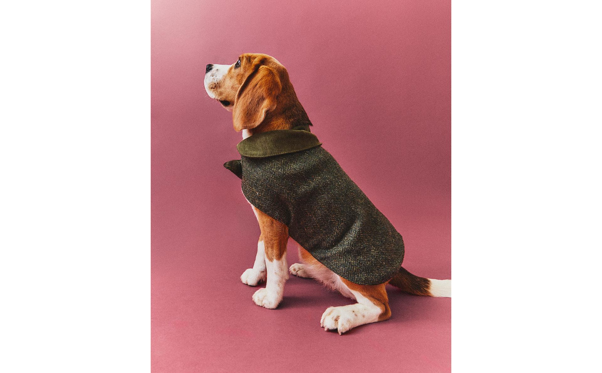 WOOL PET COAT