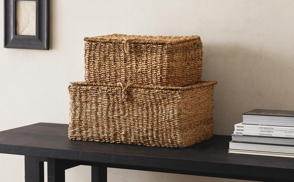 CESTA PLANTAS MARINAS
