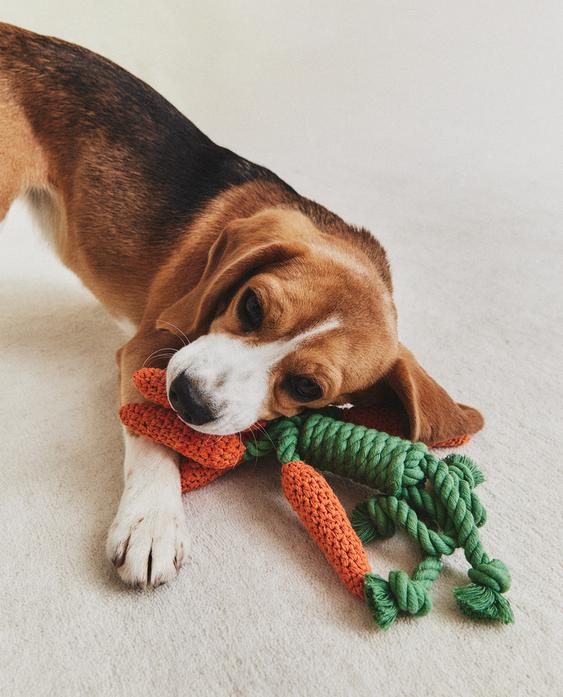 CARROT BUNCH PET TOY