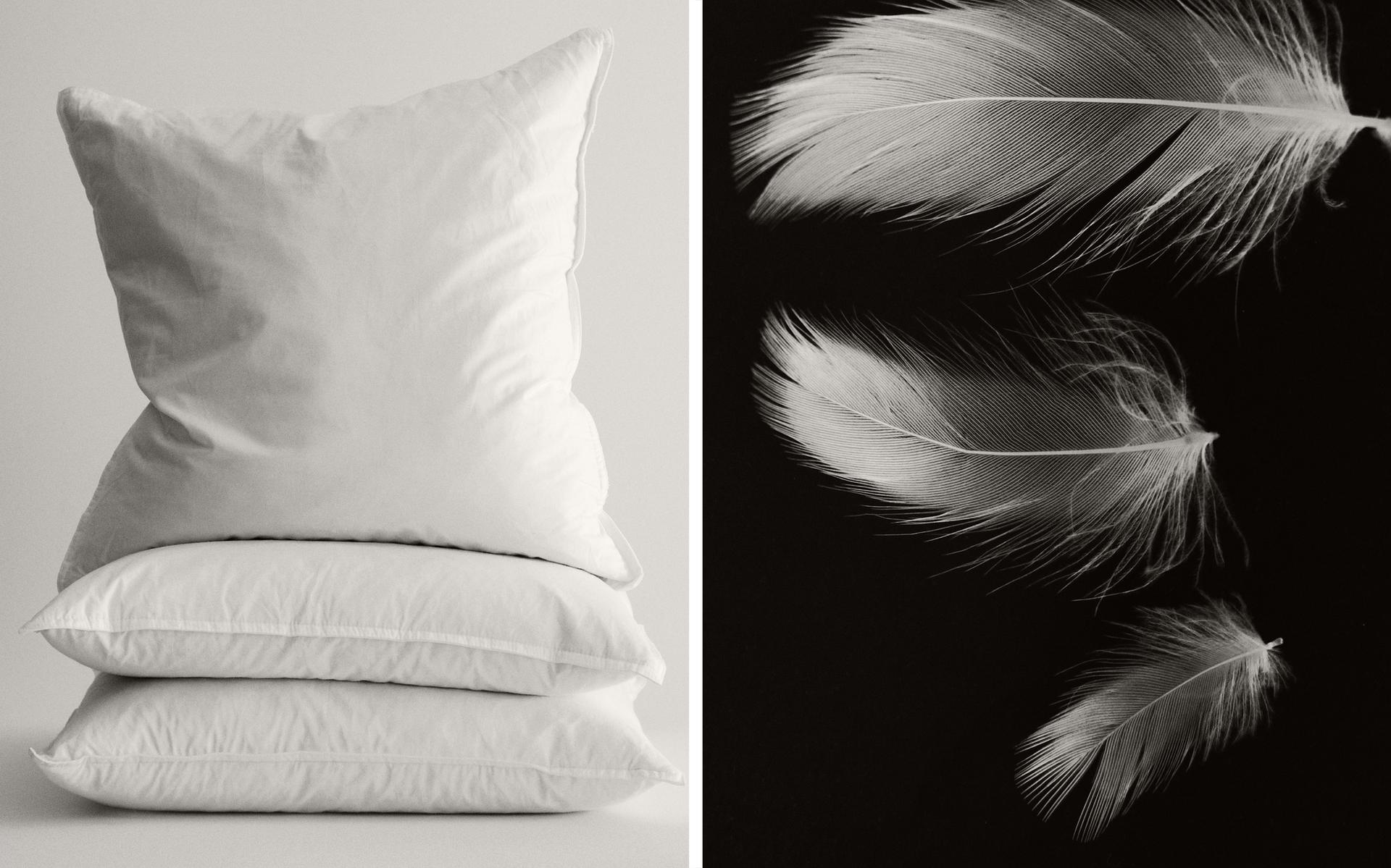 PREMIUM FEATHER CUSHION INSERT