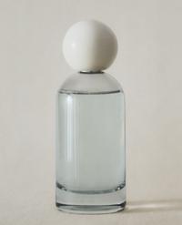 (100 مل) معطر هواء بخاخ ÉCLAT DE LYS