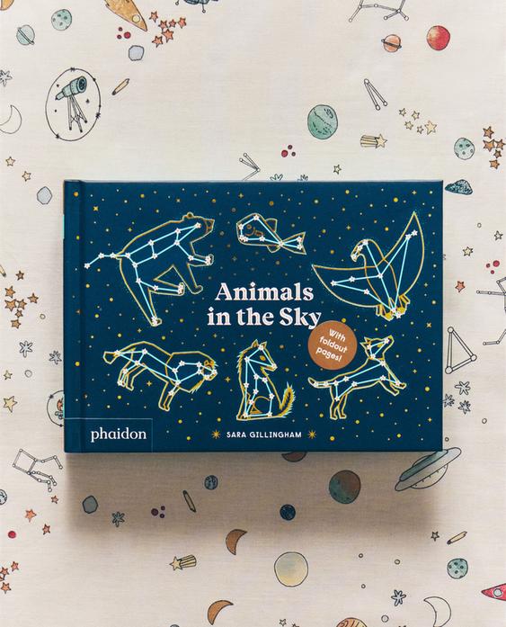 ANIMALS IN THE SKY KIDS' BOOK (ENGLISH)