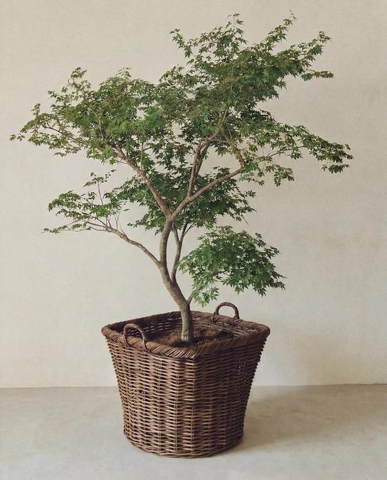 SQUARE RATTAN BASKET