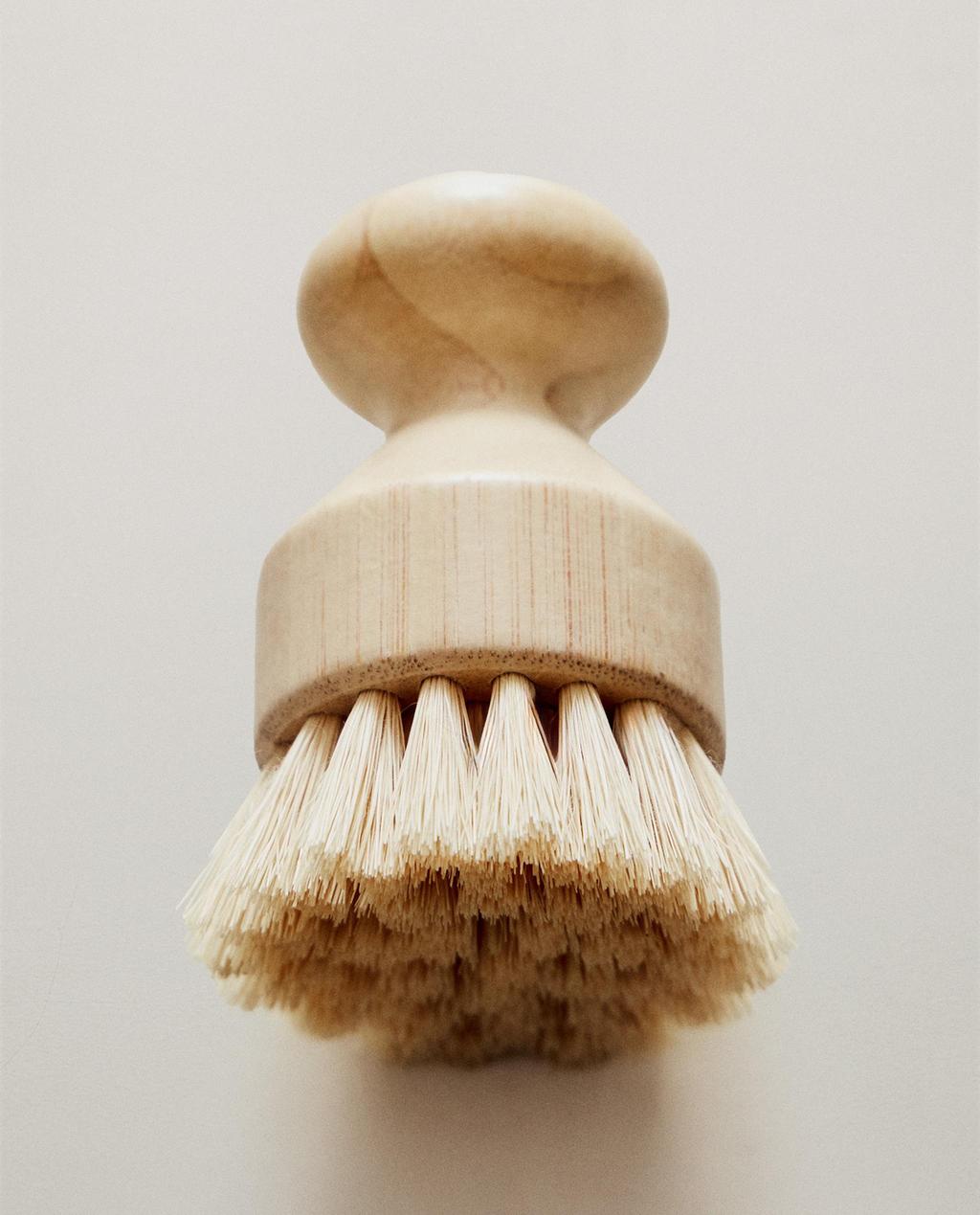 SMALL BRUSH WITH REPLACEABLE BRISTLES