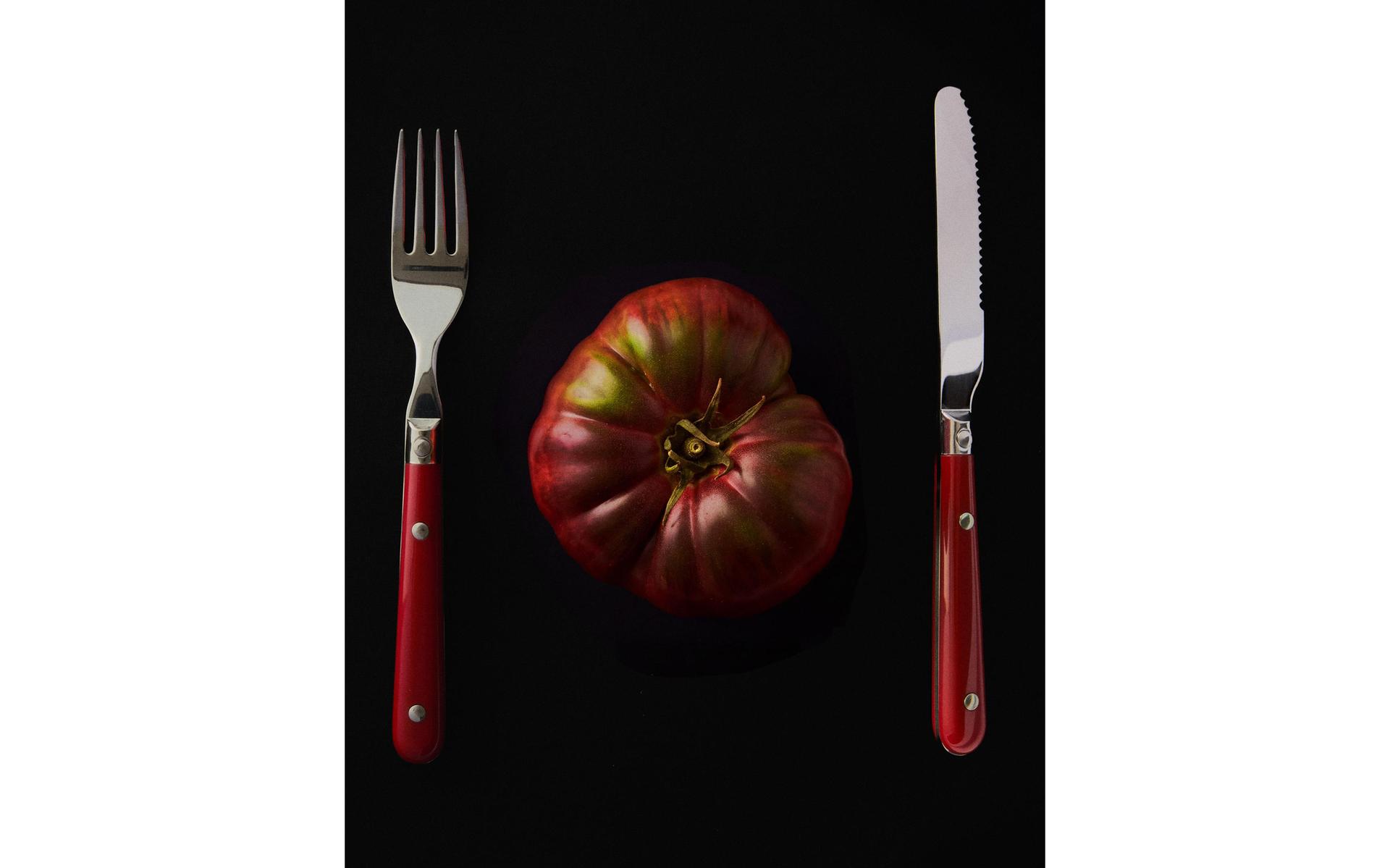 CUTLERY SET WITH RED HANDLE (SET OF 4)