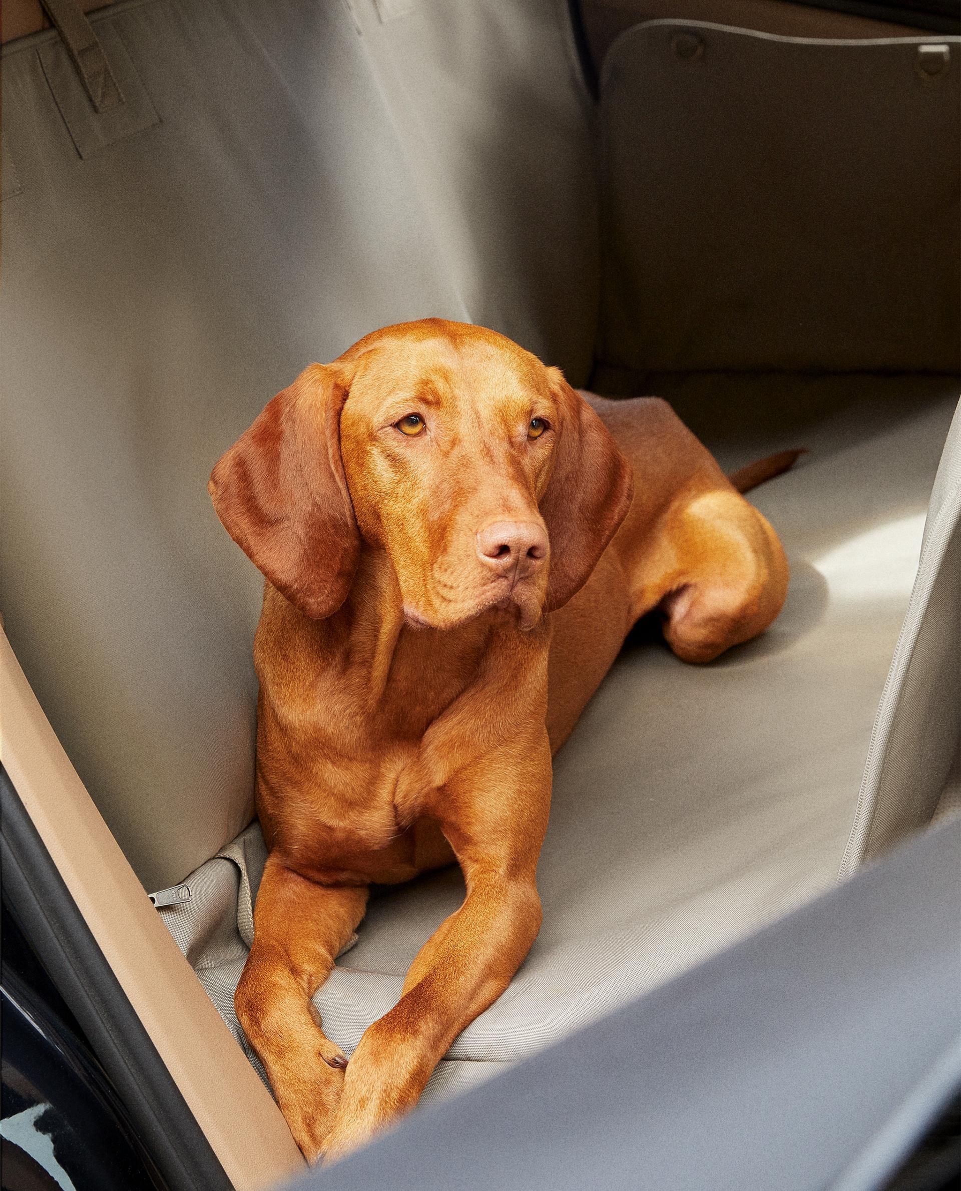 PET CAR THROW | Zara Home United Kingdom