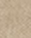 BEIGE/BROWN