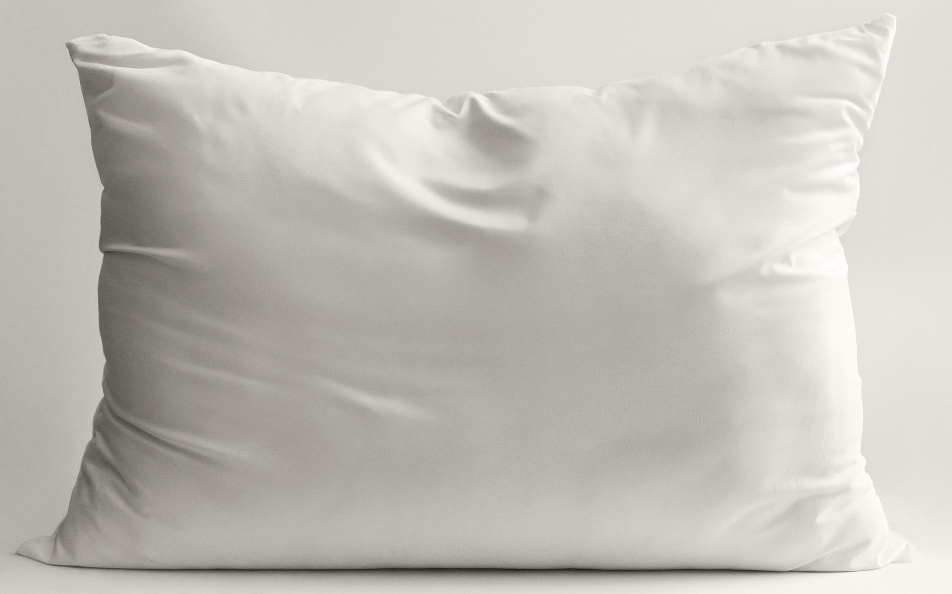 XXL FIBRE CUSHION INSERT