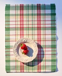 PACK OF COLOURED CHECK PLACEMATS (PACK OF 2)