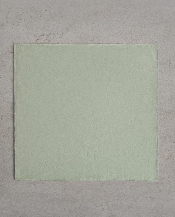 NAPKIN 01