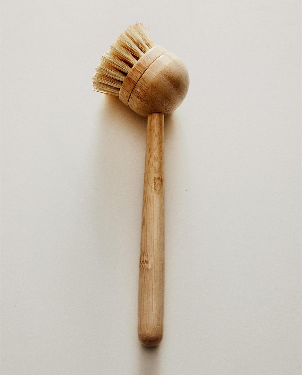 BRUSH WITH REPLACEABLE BRISTLES
