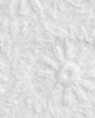 PURE WHITE