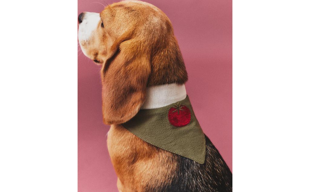 REVERSIBLE TOMATO PET BANDANA