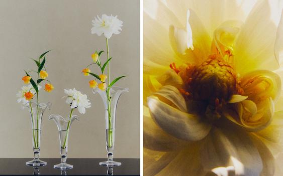 FLOWER GLASS VASE