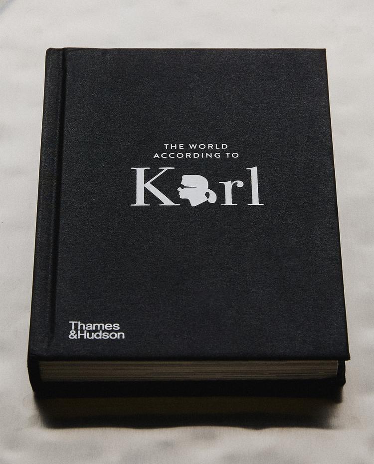 THE WORLD ACCORDING TO KARL -KIRJA (ENGLISH)