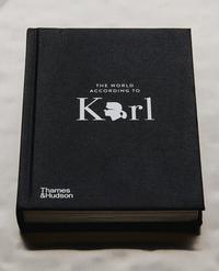 LIVRE THE WORLD ACCORDING TO KARL (ANGLAIS)