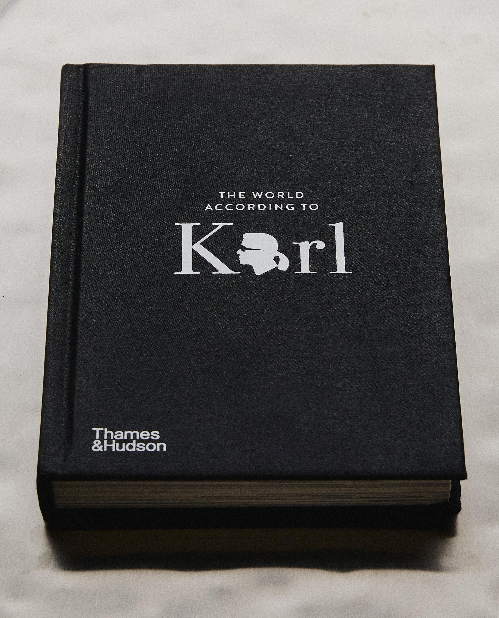 書籍《THE WORLD ACCORDING TO KARL》(英文版)