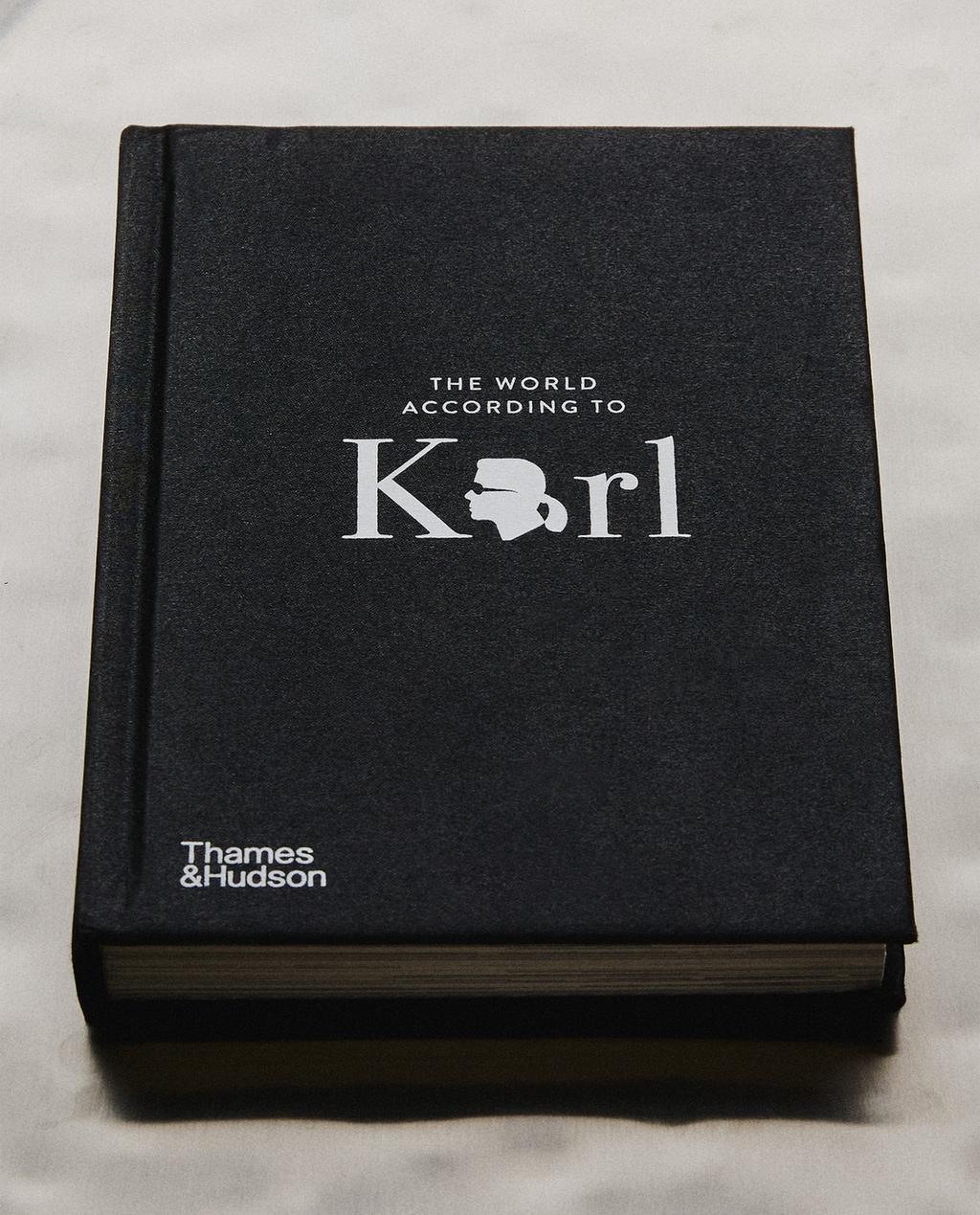 THE WORLD ACCORDING TO KARL BOOK (ENGLISH)