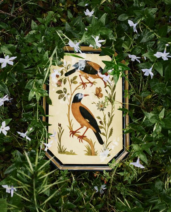 DECORATIVE LACQUERED GOLD TRAY | MARISA BERENSON